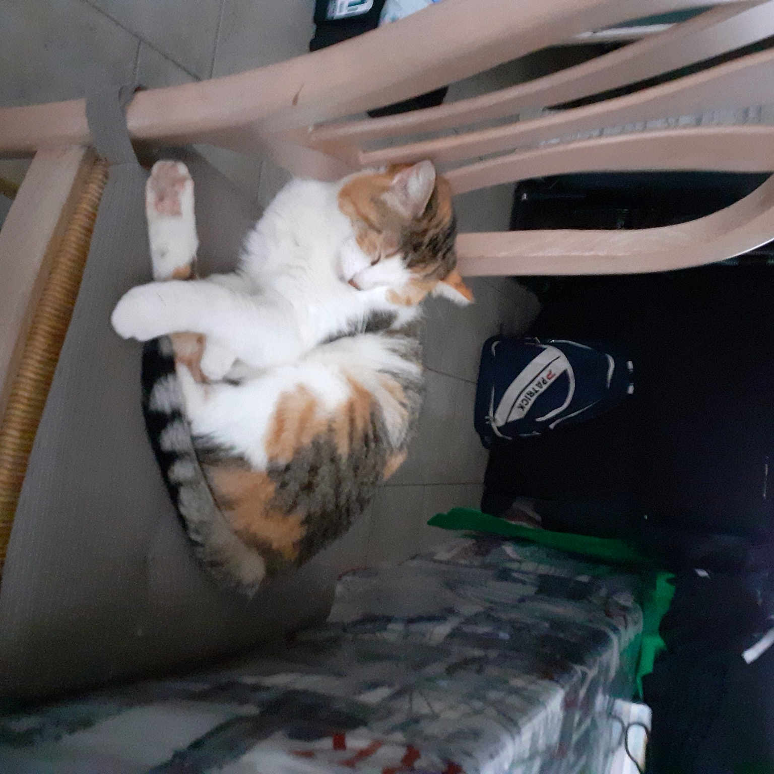 Nala