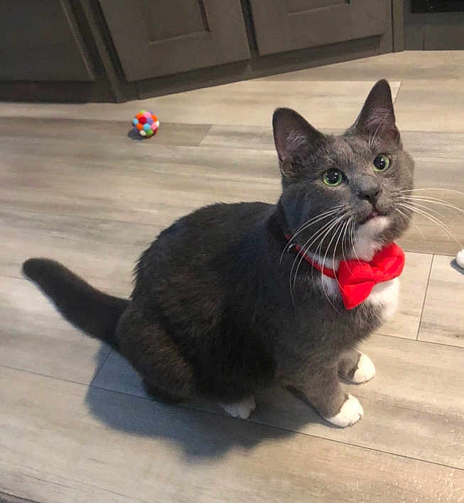 Jax