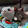 cat, stuffed_animal, plush_toy, blanket, colorful, grey_cat, white_paws, leather_couch, indoor, relaxed, cute, animal, pet, soft_toy, cozy, feline, close_up, resting, home, companion
