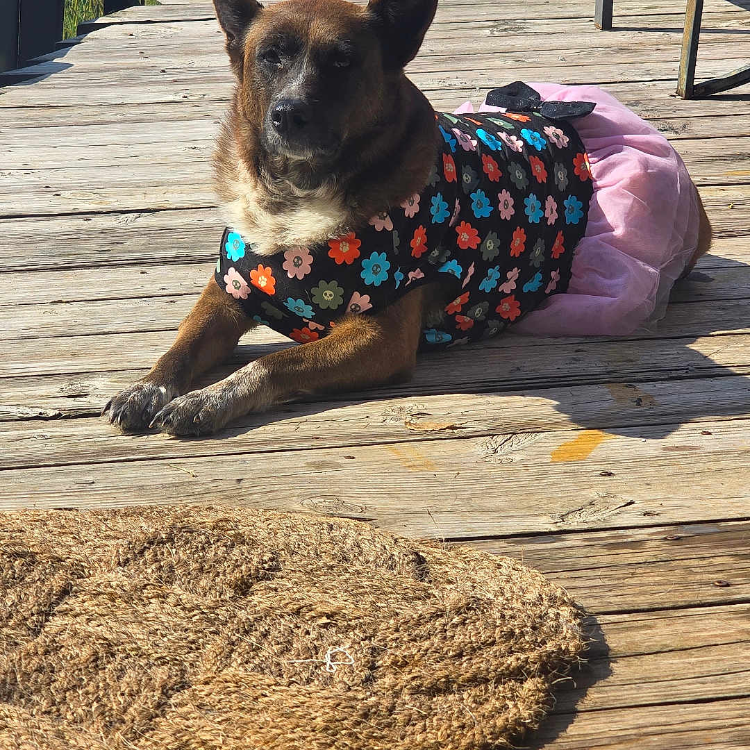 Cinnamon