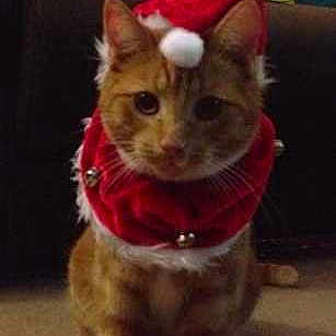 Sammy is registered to the contest to win money with this photo:
