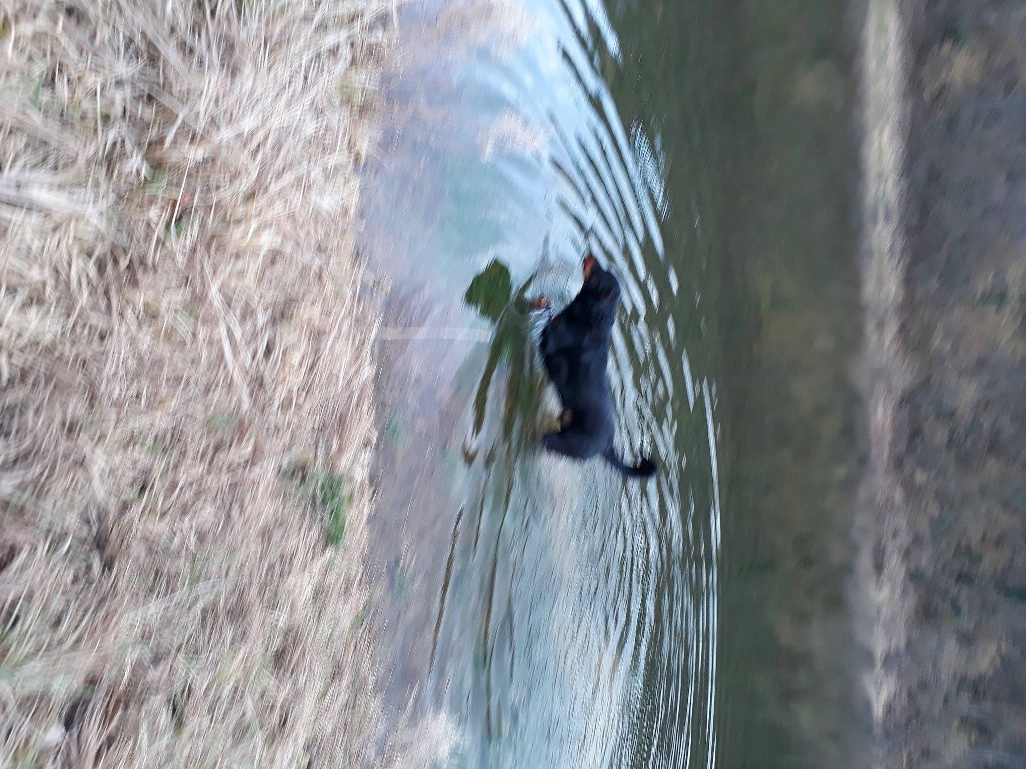 Bill a rejoint le concours — aidez-le/la à gagner de superbes lots ! abseiling, adventure, climbing, organism, plant, recreation, rock_climbing, sport_climbing, tree