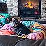 animal, blanket, colorful, comfort, couch, cozy, crate, dog, fireplace, fur, home, indoor, living_room, pet, relaxation, resting, small_dog, stone_wall, toys, warmth