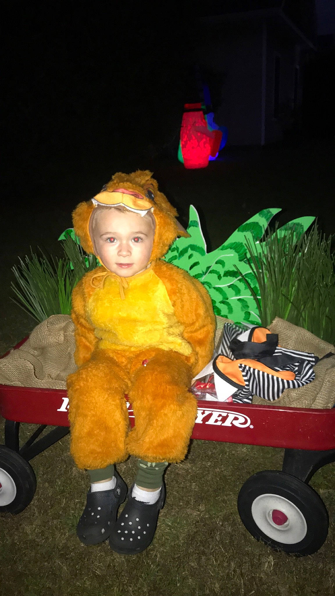 Brendan is registered to the contest to win money with this photo: animation, automotive_tire, automotive_wheel_system, calabaza, cart, event, fun, grass, lighting, motor_vehicle, musical_instrument, person, plant, sitting, stuffed_toy, tire, toddler, toy, toy_vehicle, wheel