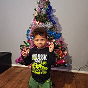 Dilson participe au concours pour gagner de l'argent avec cette photo : boy, celebration, child, christmas_tree, clothing, curly_hair, decorations, festive, holiday, home, indoors, jurassic_world, lights, pants, pose, shirt, smile, sock, tinsel, wooden_floor