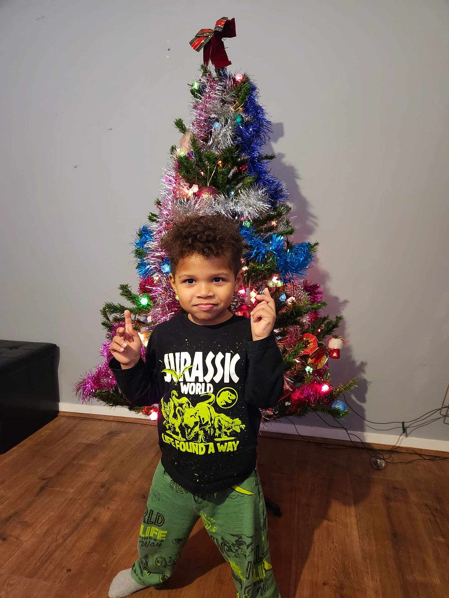 Dilson participe au concours pour gagner de l'argent avec cette photo : boy, celebration, child, christmas_tree, clothing, curly_hair, decorations, festive, holiday, home, indoors, jurassic_world, lights, pants, pose, shirt, smile, sock, tinsel, wooden_floor