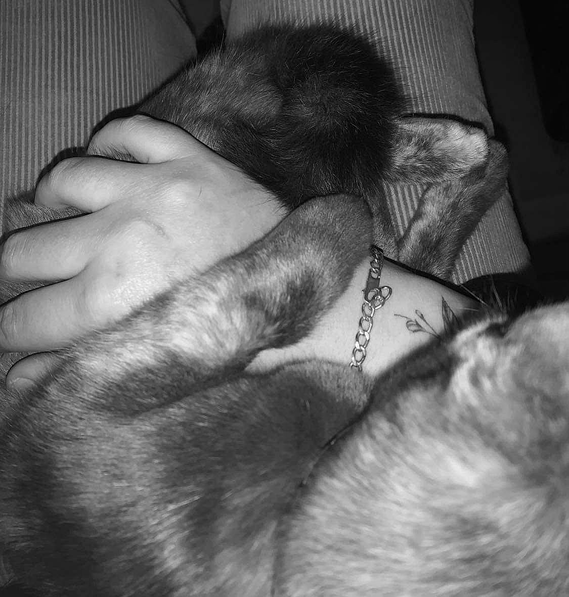 Moon participe au concours pour gagner de l'argent avec cette photo : black, carnivore, comfort, elbow, eye, foot, gesture, grey, head, human_body, human_leg, leg, mammal, monochrome_photography, nail, style, thumb, vertebrate, wrinkle, wrist