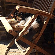 Precious joined the competition — help win amazing prizes!