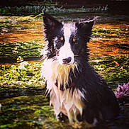 Brook joined the competition — help win amazing prizes!