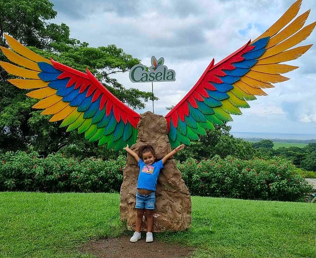 Enola participe au concours pour gagner de l'argent avec cette photo : accipitriformes, art, beak, bird, cloud, falconiformes, feather, fun, grass, grassland, happy, joy, leisure, person, plant, pole, sculpture, sky, summer, tail