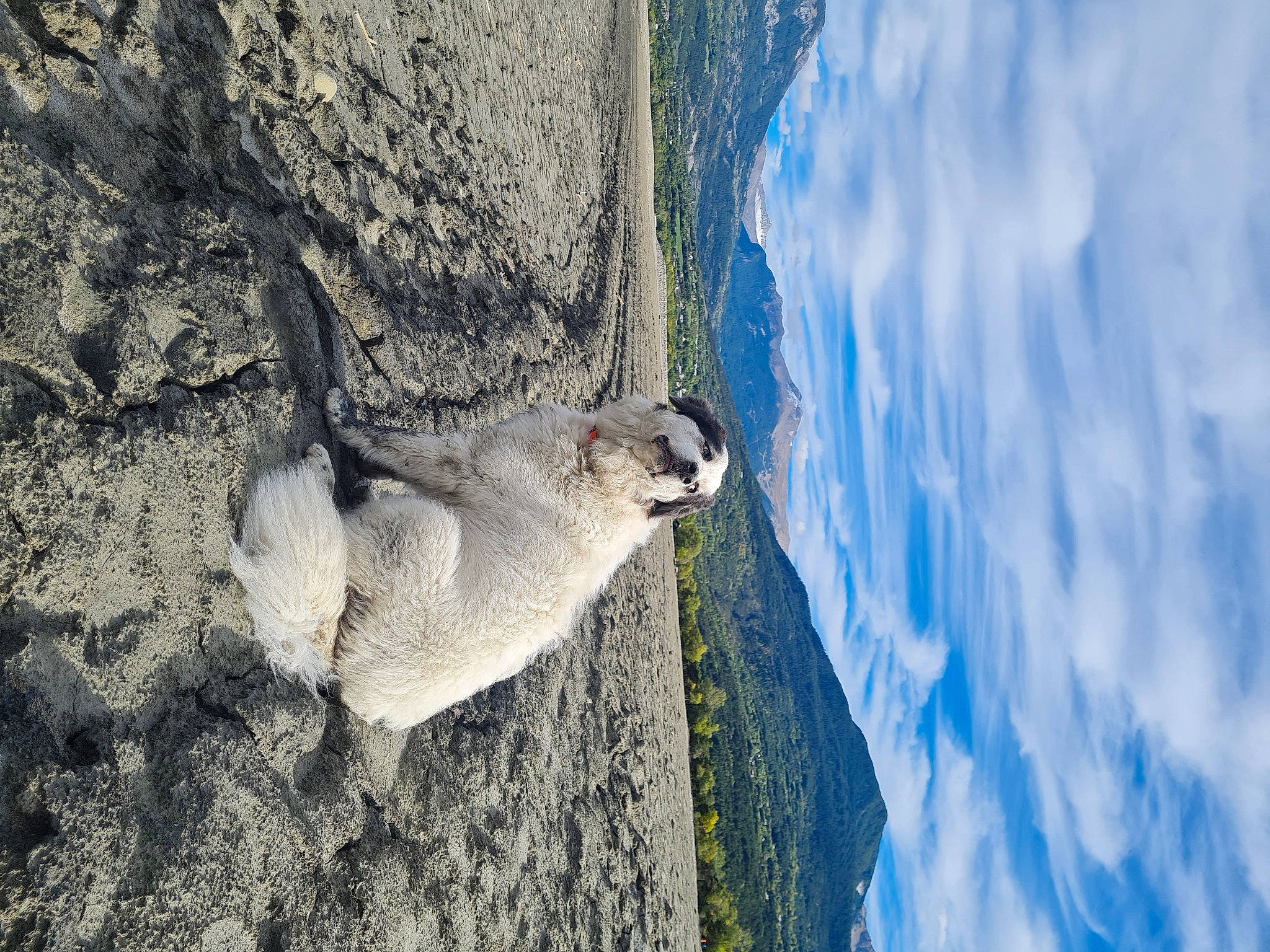 Bella a rejoint le concours — aidez-le/la à gagner de superbes lots ! adventure, bedrock, cloud, electric_blue, formation, freezing, geology, ice_cap, landscape, mountain, plant, rock, shadow, sky, sport_climbing, tree, trunk, water, winter, wood