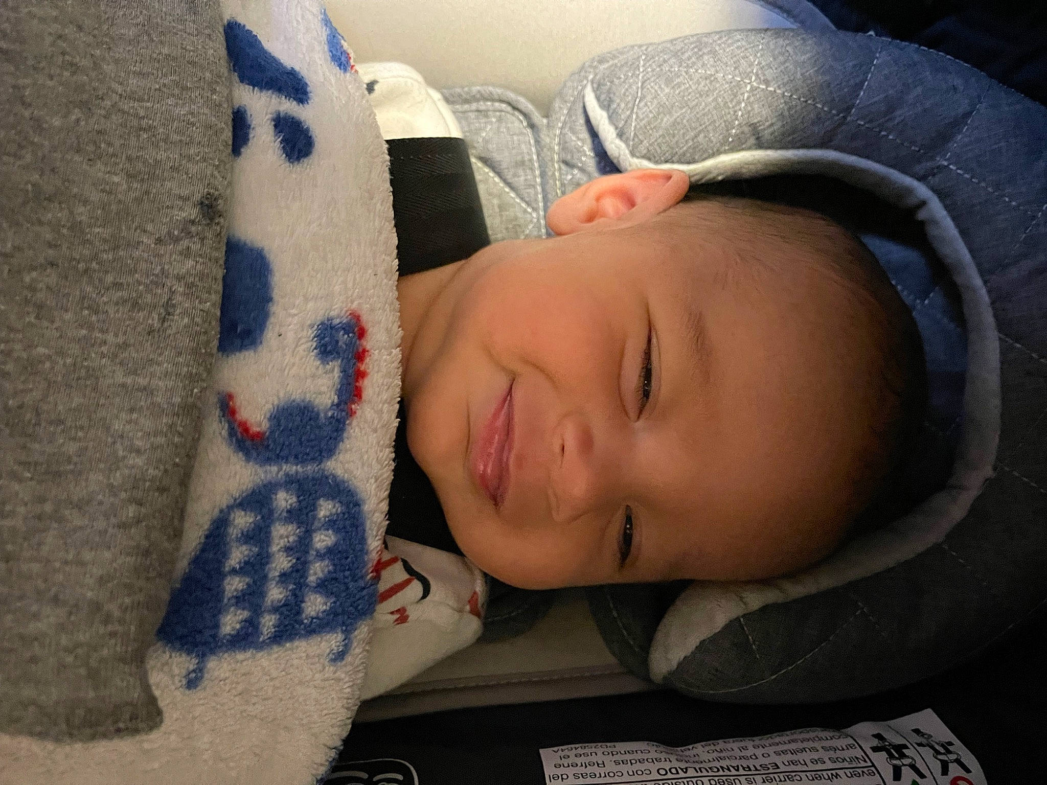 Zakai is registered to the contest to win money with this photo: baby, baby_products, baby_sleeping, bedding, bedtime, child, comfort, couch, fur, linens, nap, nose, pattern, person, room, sitting, skin, sleeve, toddler, tree