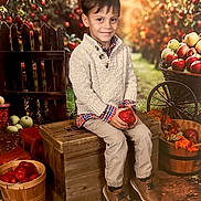 Ashtyn is registered to the contest to win money with this photo: child, boy, apple, crate, orchard, autumn, fall, sweater, plaid_shirt, pants, shoes, baskets, fruit, trees, leaves, smile, portrait, outdoor, wooden_fence, nature