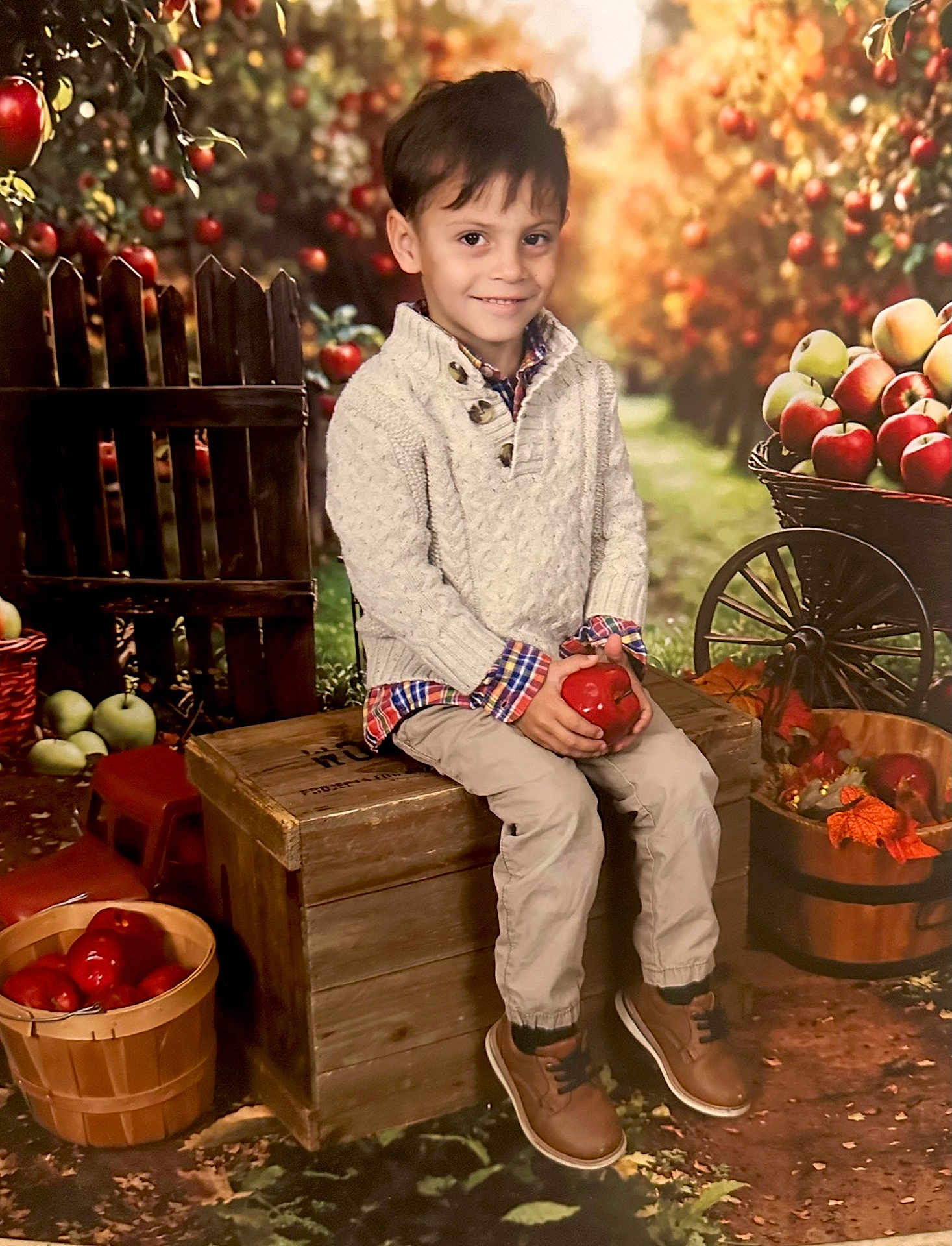 Ashtyn is registered to the contest to win money with this photo: child, boy, apple, crate, orchard, autumn, fall, sweater, plaid_shirt, pants, shoes, baskets, fruit, trees, leaves, smile, portrait, outdoor, wooden_fence, nature