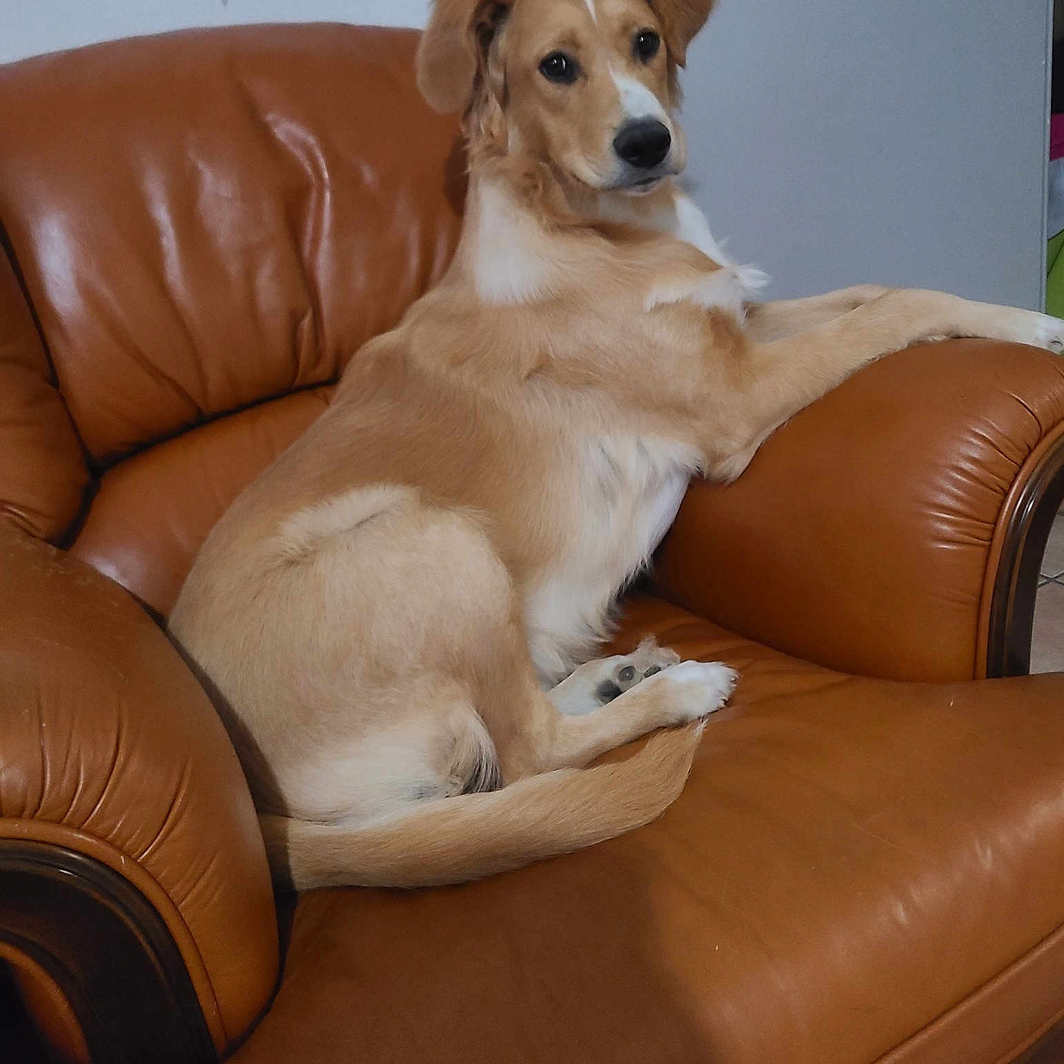 Bailey