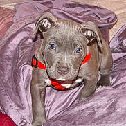 Elsa is registered to the contest to win money with this photo: