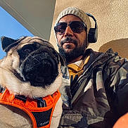 Cookies a rejoint le concours — aidez-le/la à gagner de superbes lots ! man, dog, pug, sunglasses, beanie, headphones, orange_harness, jacket, camouflage, outdoor, wall, shadow, sunlight, portrait, pet, closeup, casual, facial_hair, human, animal