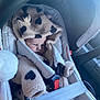 Lyamm participe au concours pour gagner de l'argent avec cette photo : baby, car_seat, clothing, infant, car_interior, seatbelt, hood, onesie, child, cute, warm, fleece, safety, transportation, restraint, small_person, indoor, serious_expression, toddler, vehicle