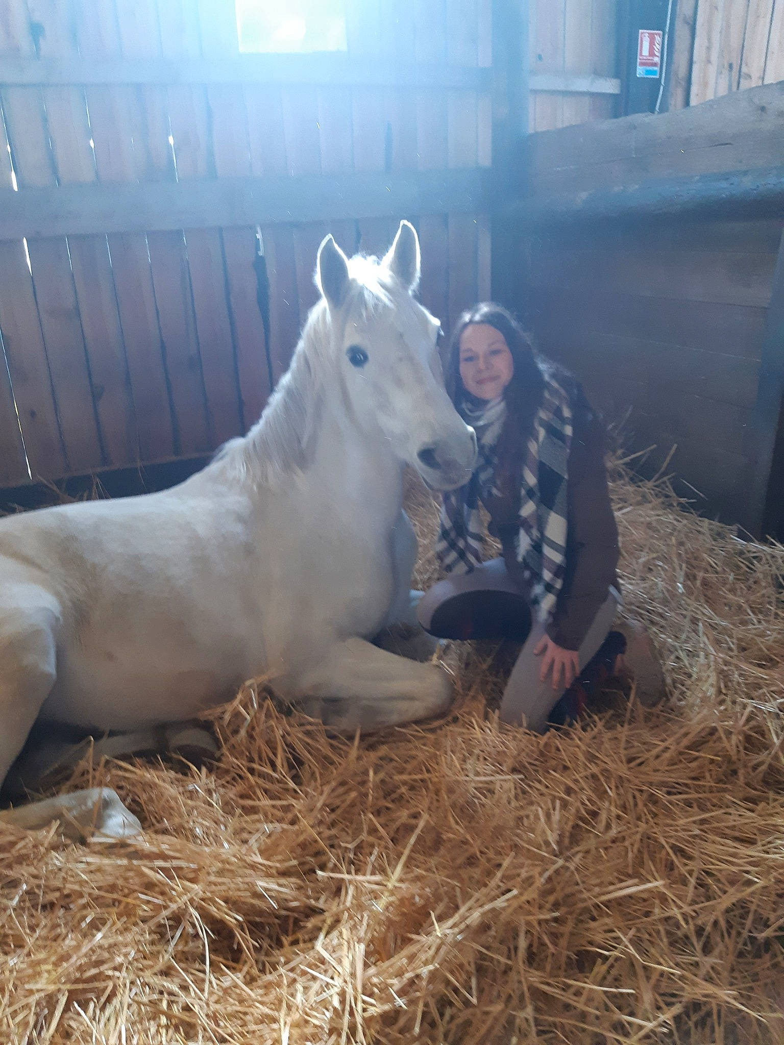 Africane a rejoint le concours — aidez-le/la à gagner de superbes lots ! colt, farm, foal, hay, horse, livestock, mammal, mane, mare, person, stable, stallion, straw, vertebrate