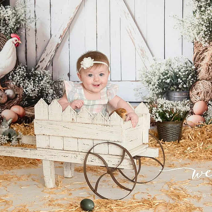 Emberlynn is registered to the contest to win money with this photo: animal, baby, bird, chicken, christmas, christmasdecorations, christmastree, face, festival, fowl, head, machine, nature, outdoors, person, plant, poultry, toy, wheel, yard