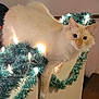 cat, cream_colored, fluffy, tinsel, lights, decorations, railing, indoor, holiday, curious, animal, pet, feline, cozy, cute, relaxed, wide_eyes, white_paws, soft_fur, christmas