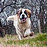 Jason participe au concours pour gagner de l'argent avec cette photo :