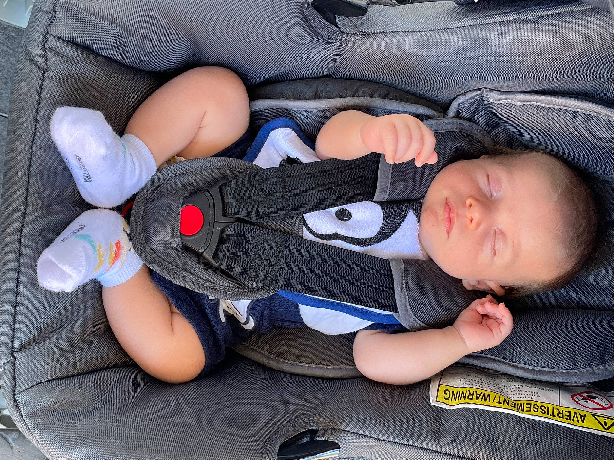 Leyton a rejoint le concours — aidez-le/la à gagner de superbes lots ! auto_part, baby, baby_products, baby_toddler_clothing, car_seat, carmine, child, comfort, electric_blue, finger, gesture, hand, human_leg, nail, person, sitting, thigh, thumb, toddler, vehicle_door