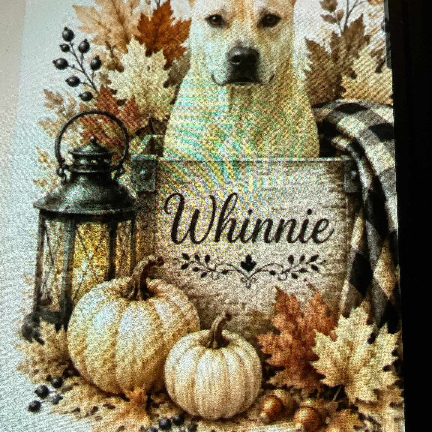 Whinnie Bushey