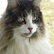 Nooch is registered to the contest to win money with this photo: