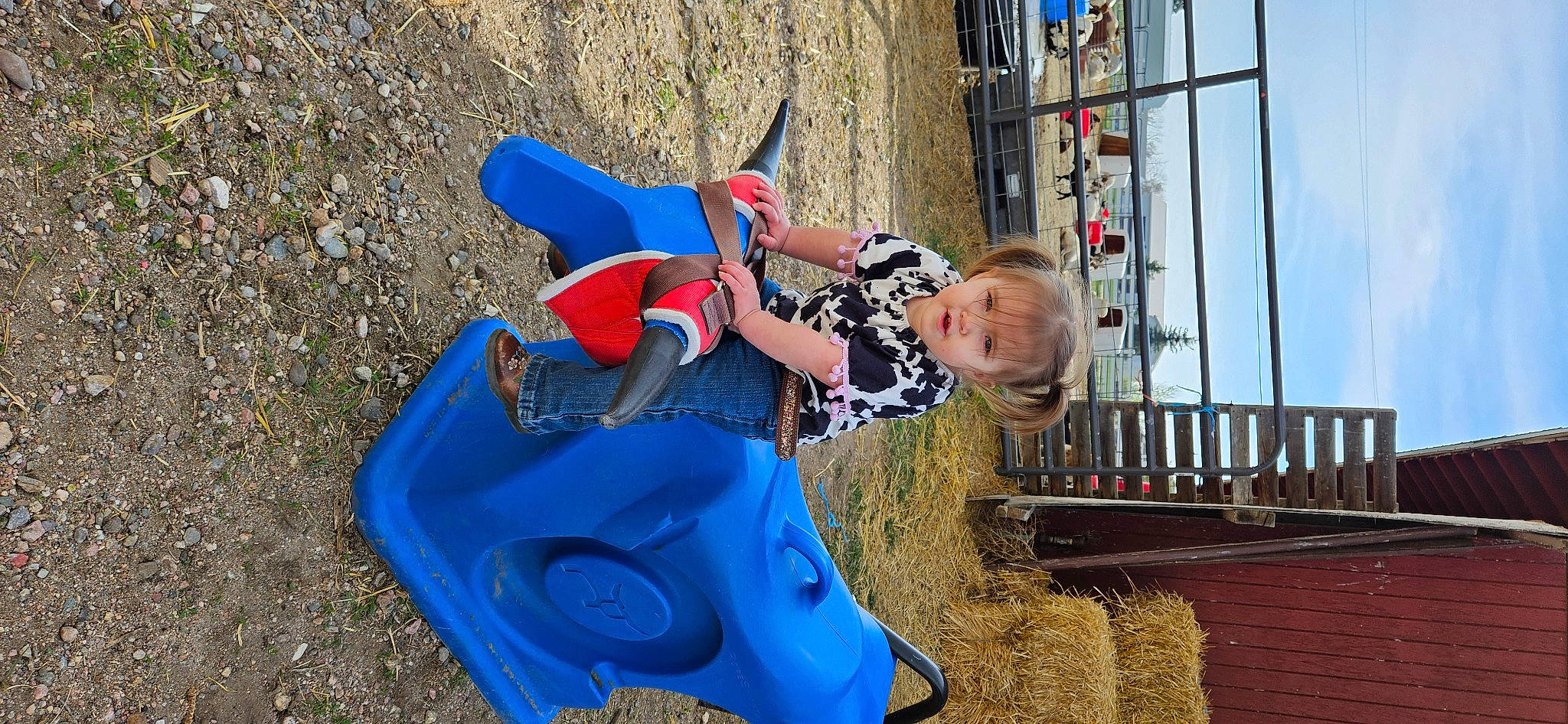 Bailey joined the competition — help win amazing prizes! child, chute, city, electric_blue, fun, happy, leisure, outdoor_play_equipment, person, plastic, play, playground, recreation, sky, soil, toddler, tree