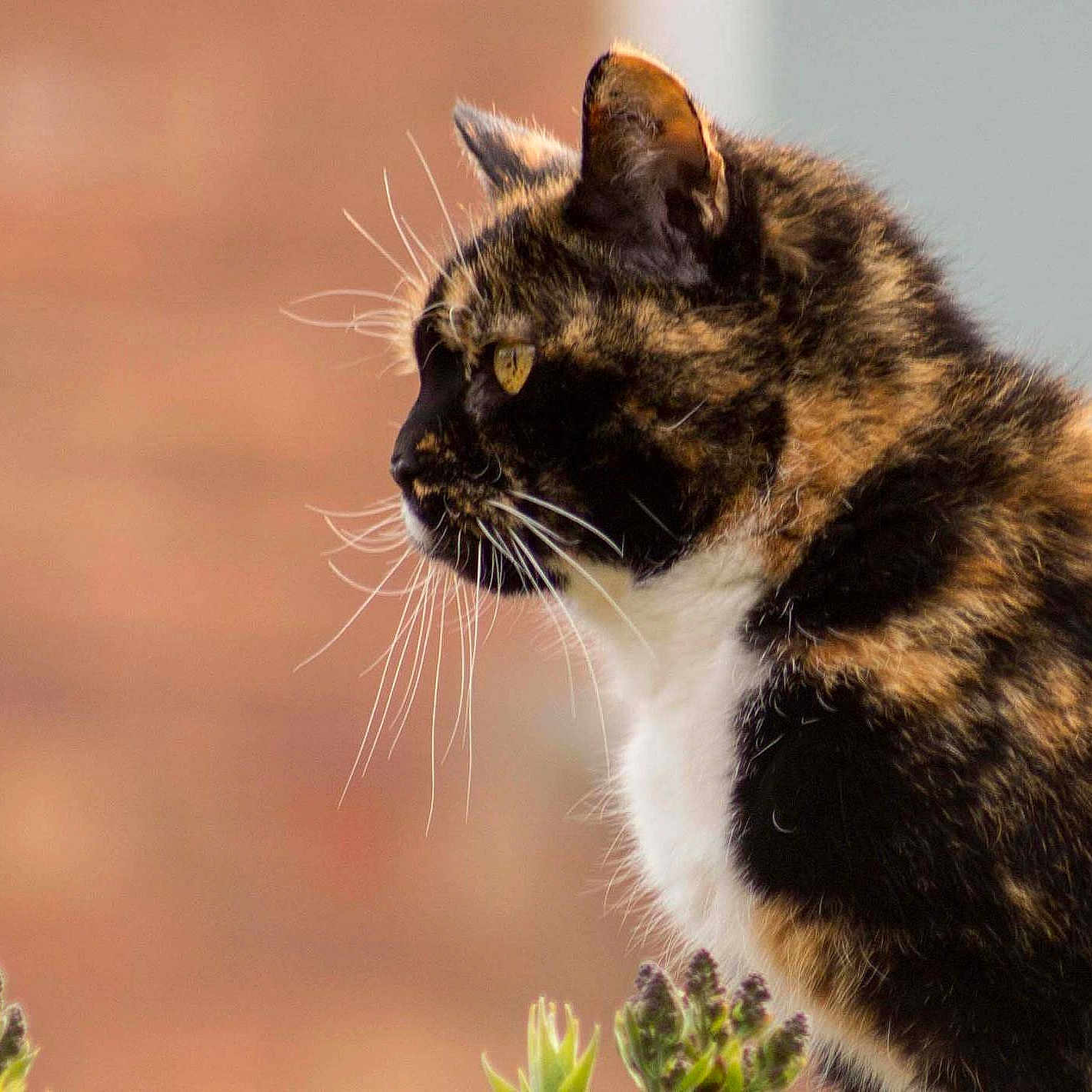 Tia is registered to the contest to win money with this photo: