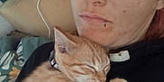Maelyn Rose Wallace joined the competition — help win amazing prizes! animal, blanket, casual, cat, closeup, comfort, cozy, cuddling, face, indoor, kitten, orange_tabby, person, pet, piercing, pillow, relaxation, resting, sleeping, young_adult
