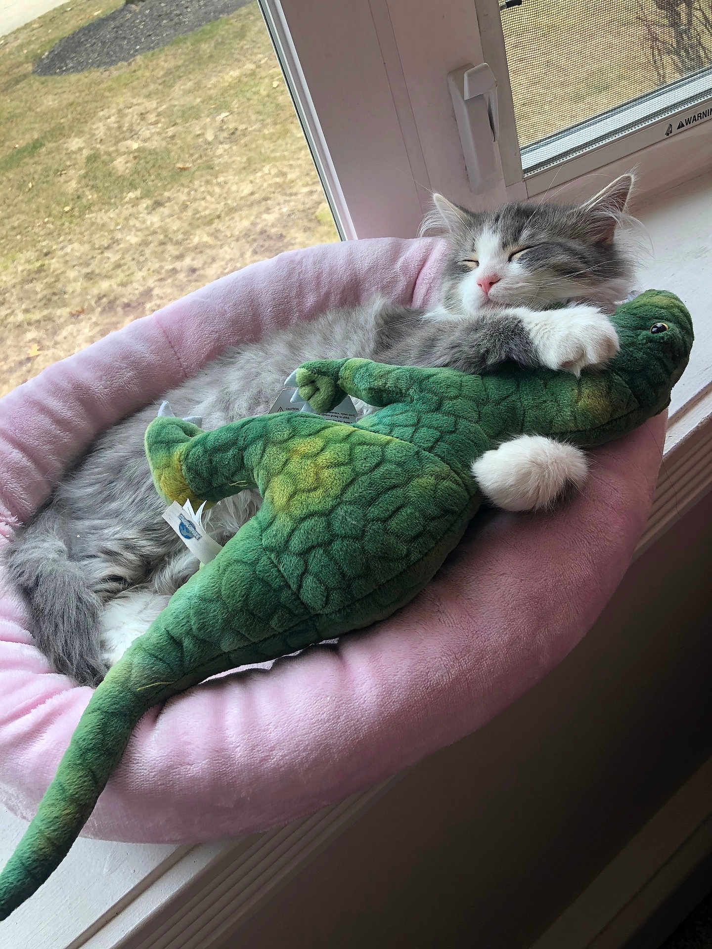 Kit Ten