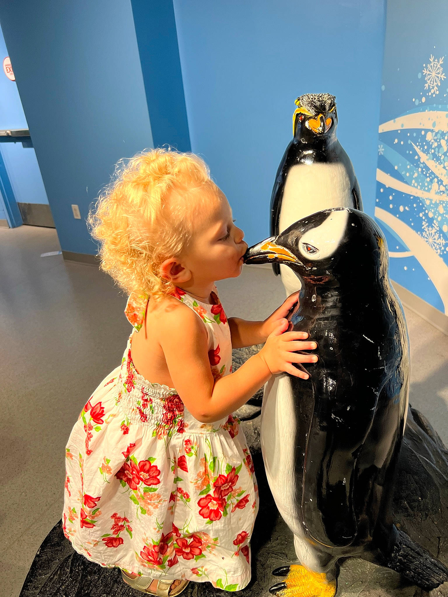Anya joined the competition — help win amazing prizes! adalie_penguin, advertising, art, baby_toddler_clothing, beak, bird, emperor_penguin, event, fashion_design, fin, flightless_bird, flooring, fun, happy, leisure, love, marine_mammal, penguin, person, recreation