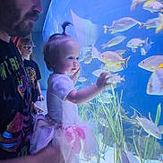 Alana is registered to the contest to win money with this photo: adult, aquarium, beard, blue_light, child, curiosity, family, fish, glass, glasses, hat, indoor, observation, person, pink_bow, plants, smiling, toddler, tutu, underwater