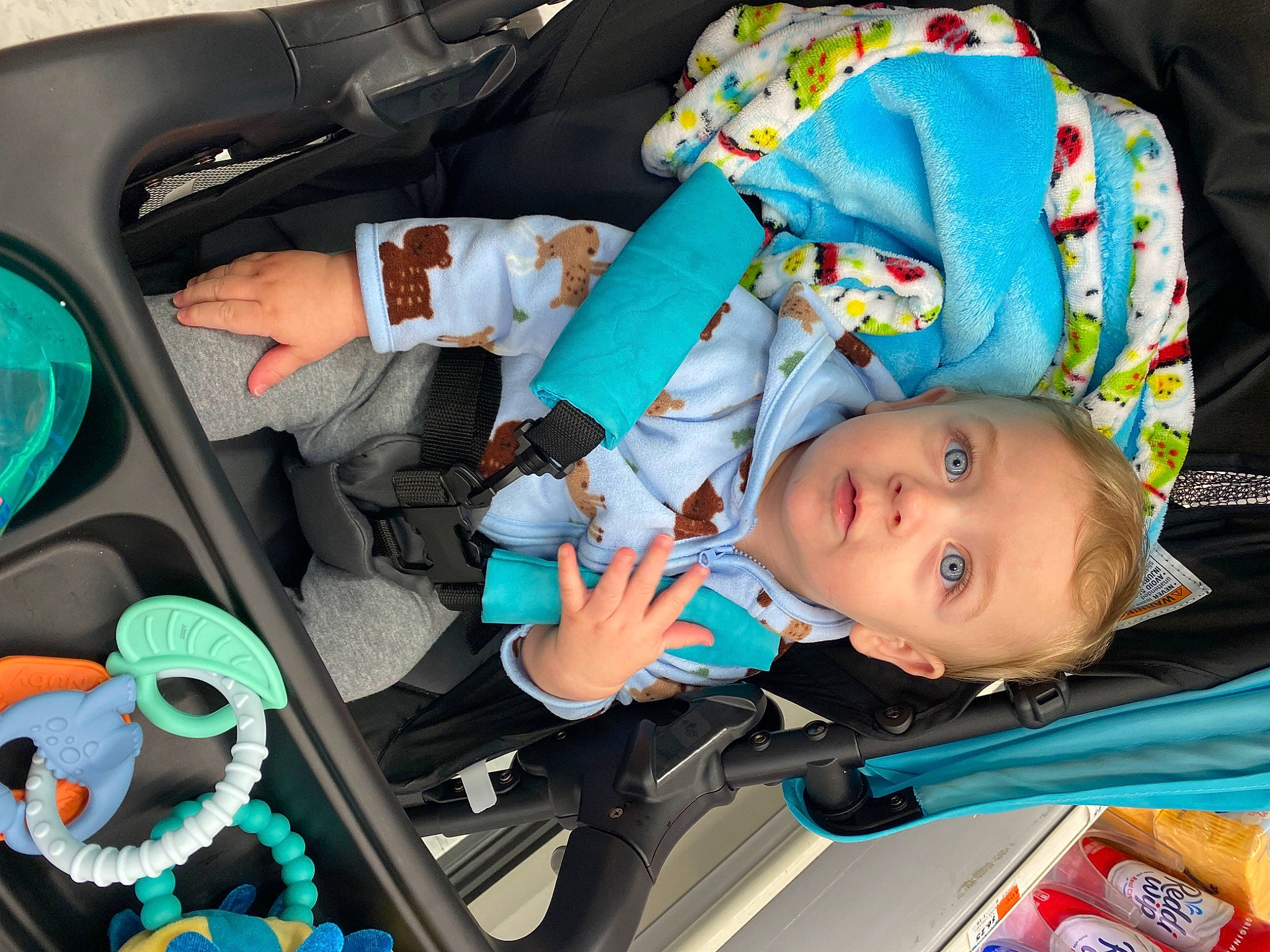 Maverick is registered to the contest to win money with this photo: auto_part, baby, baby_carriage, baby_products, baby_toddler_clothing, car_seat, child, comfort, family_car, green, mammal, motor_vehicle, people, person, product, seat_belt, snapshot, steering_wheel, toddler, vehicle_door