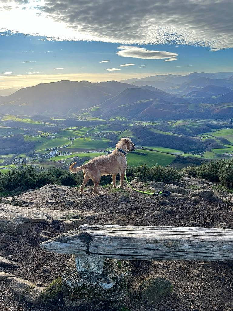 Coco participe au concours pour gagner de l'argent avec cette photo : carnivore, cloud, cumulus, dog, grass, grassland, highland, hill, horizon, landscape, mountain, mountain_range, natural_landscape, plant, plateau, rural_area, sky, slope, valley, wood