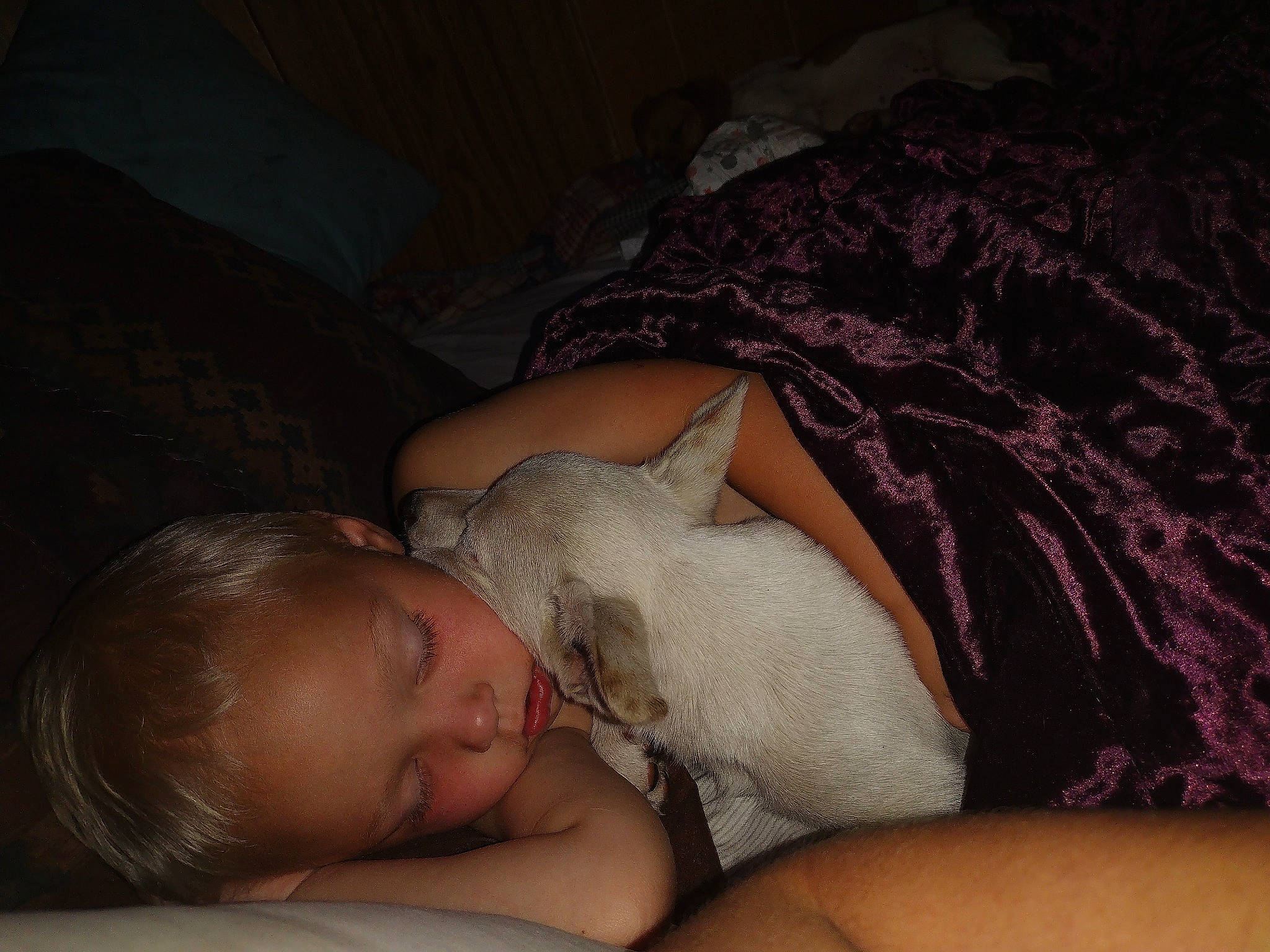 Kaden Wright is registered to the contest to win money with this photo: abdomen, arm, baby, chest, comfort, ear, elbow, eyelash, fawn, flash_photography, hand, human_body, human_leg, leg, neck, person, skin, thigh, thumb, toddler