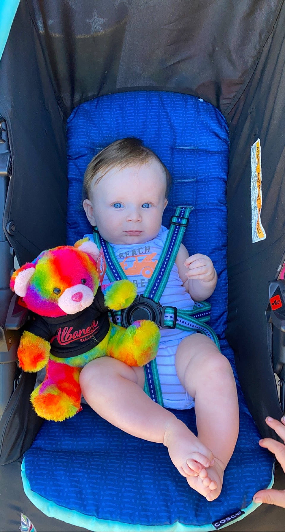 Sora joined the competition — help win amazing prizes! baby, baby_carriage, baby_products, baby_toddler_clothing, blue, car_seat, cheek, child, comfort, eye, face, fun, head, lap, person, pink, purple, red, thigh, toddler