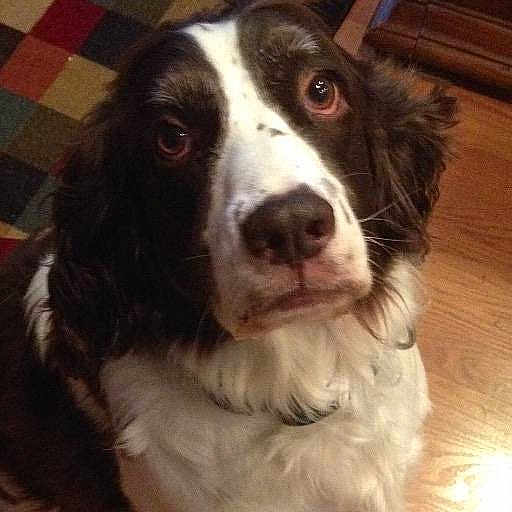 Max