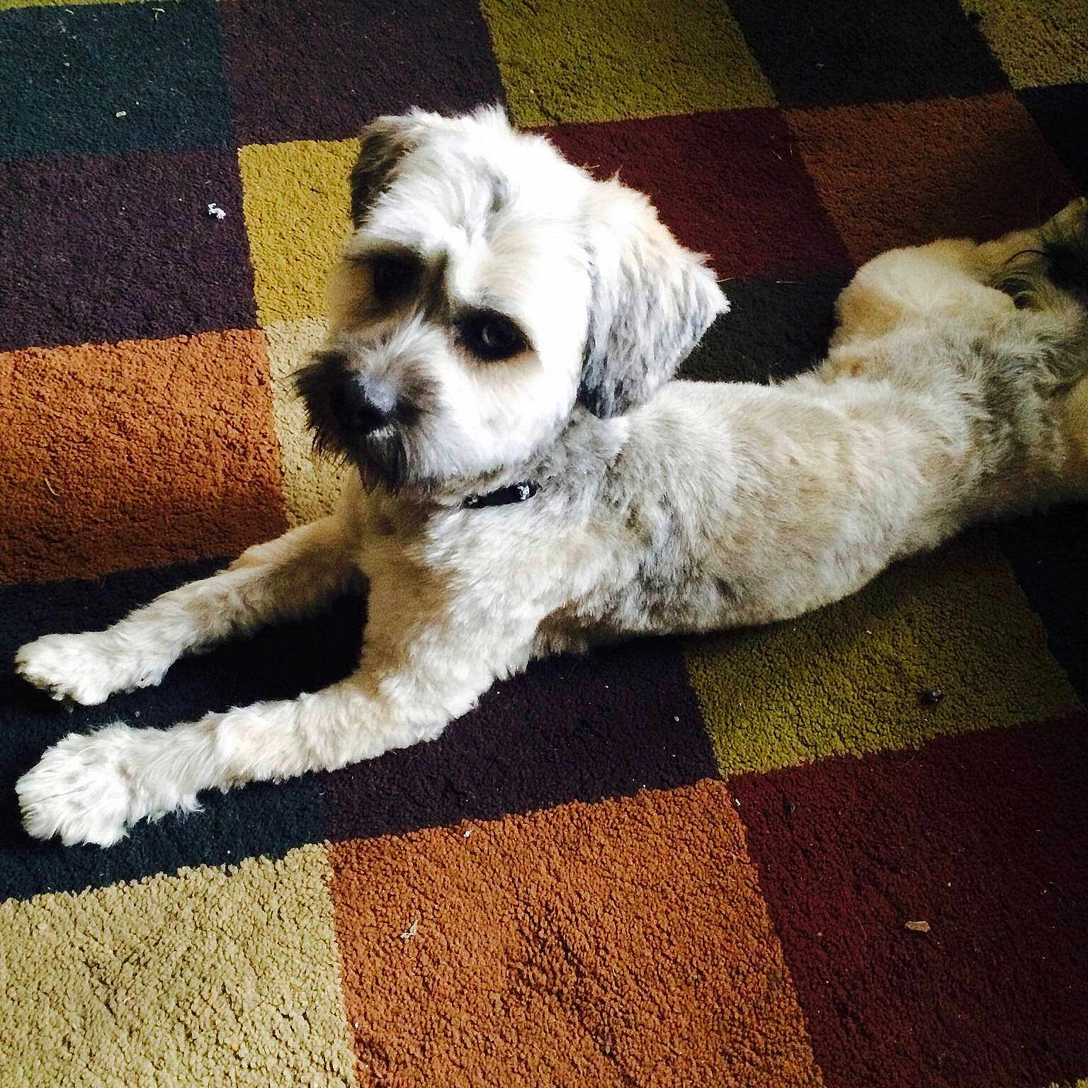 Baxter joined the competition — help win amazing prizes!