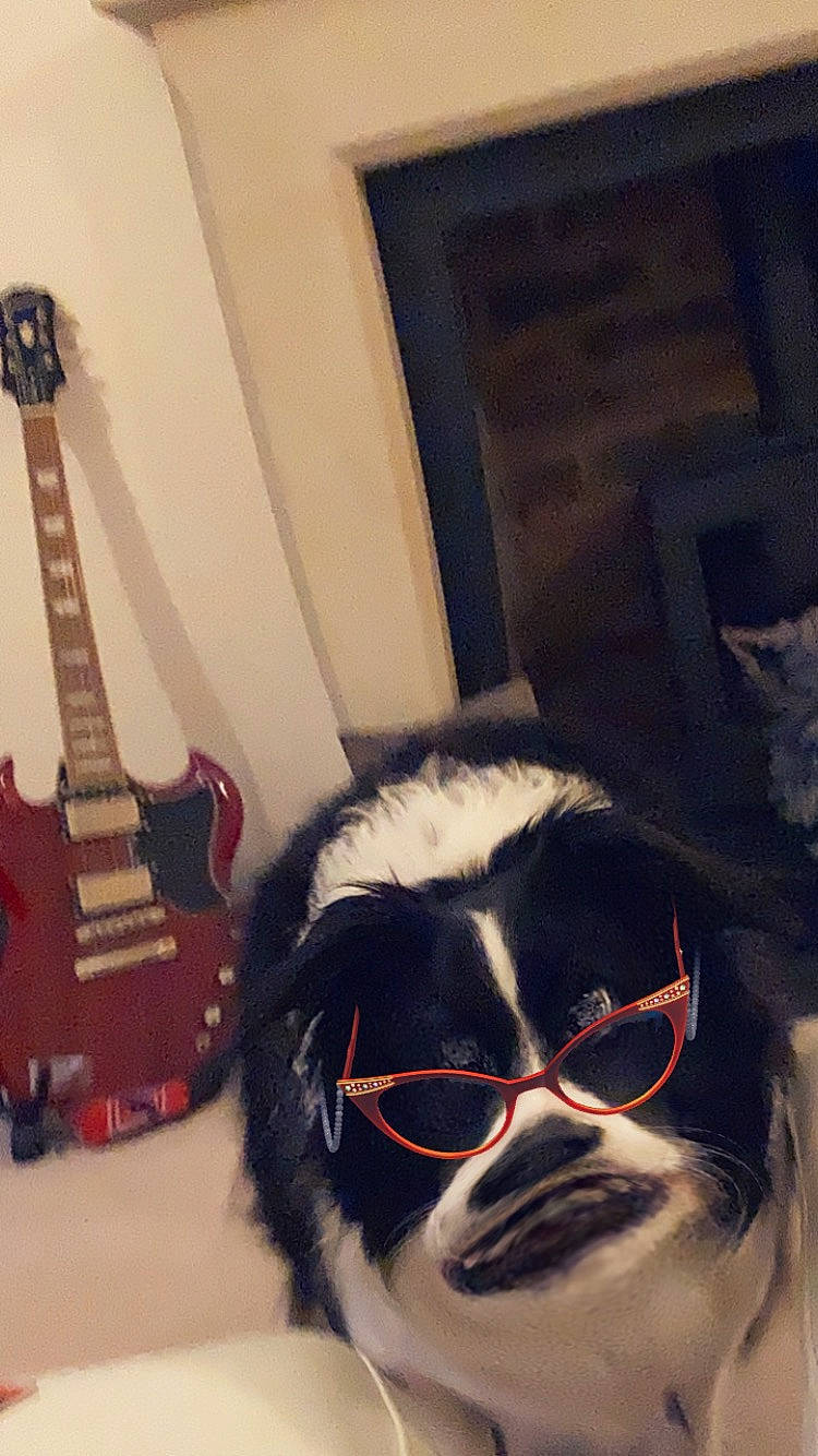 Chayse is registered to the contest to win money with this photo: beard, electric_guitar, eyewear, facial_hair, folk_instrument, fur, goggles, guitar, guitar_accessory, happy, jaw, moustache, musical_instrument, personal_protective_equipment, selfie, snout, string_instrument_accessory, tints_and_shades, vision_care, whiskers