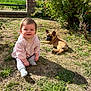 Livia a rejoint le concours — aidez-le/la à gagner de superbes lots ! baby, brick_fence, child, cute, daylight, dog, flowering_bush, french_bulldog, grass, greenery, nature, outdoor, pet, pink_top, plant, puppy, smiling, socks, sunlight, yard