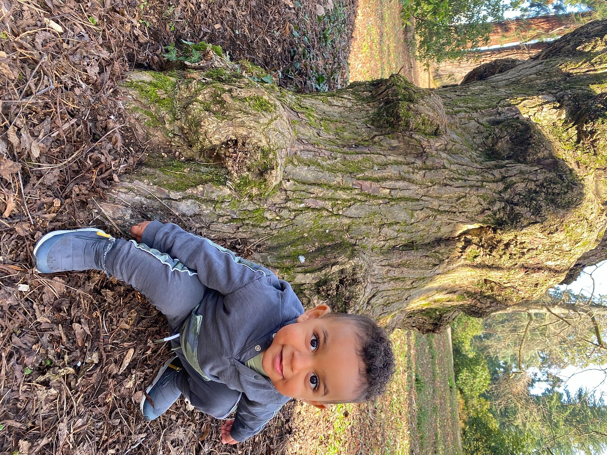 Killian a rejoint le concours — aidez-le/la à gagner de superbes lots ! biome, branch, face, forest, fun, grass, grass_family, groundcover, happy, joy, leisure, people_in_nature, person, plant, soil, toddler, tree, trunk, twig, winter