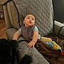 baby, child, dog, chair, blanket, toy, indoor, quilted, cushion, pet, wooden_floor, curious, sitting, comfortable, brown, gray, striped_clothing, bib, hand, looking_up