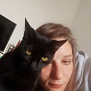 Réglisse participe au concours pour gagner de l'argent avec cette photo : cat, black_cat, animal, pet, woman, face, indoor, portrait, closeup, feline, companion, cozy, relaxed, human, eyebrows, hair, yellow_eyes, casual, soft_light, snuggle