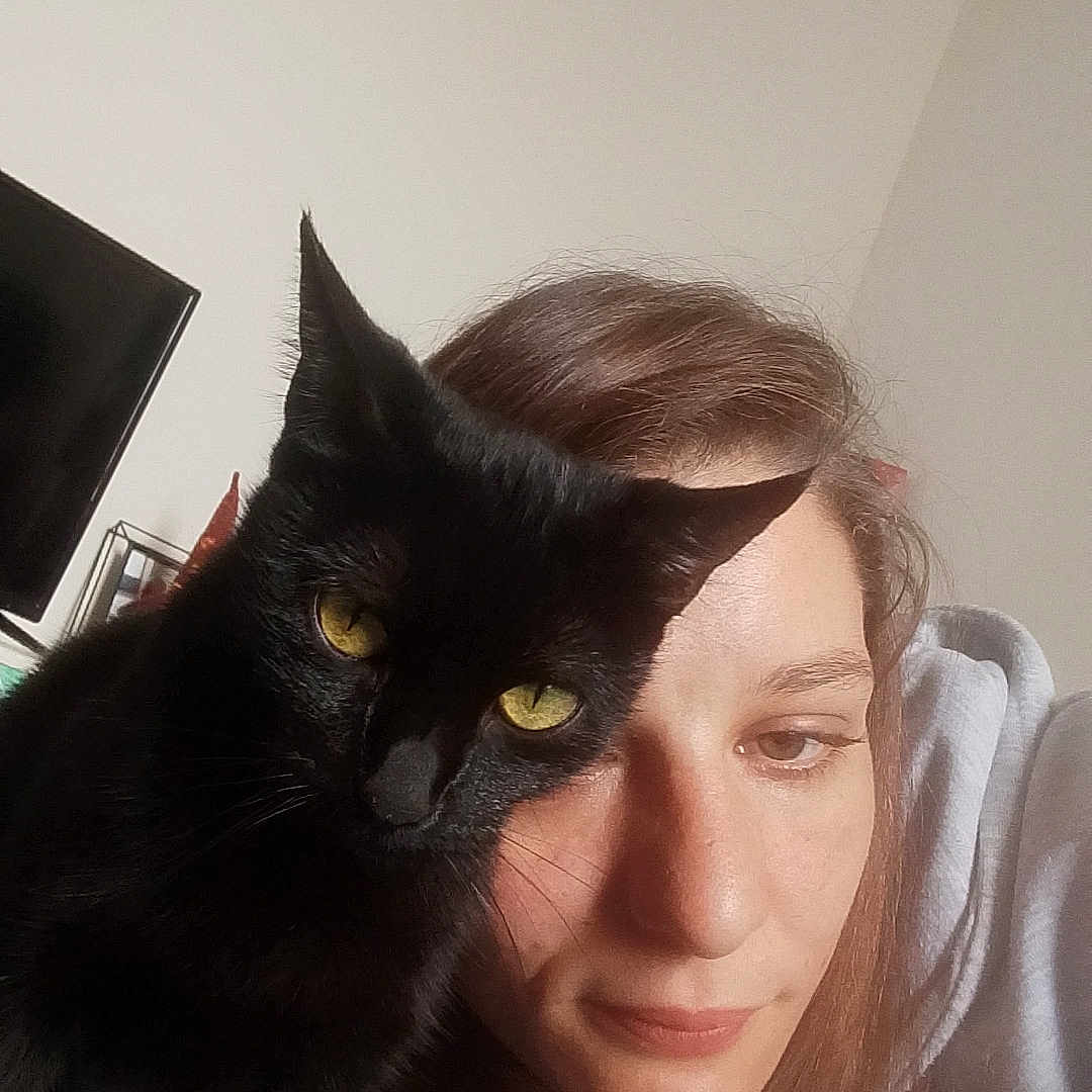 Réglisse participe au concours pour gagner de l'argent avec cette photo : animal, black_cat, casual, cat, closeup, companion, cozy, eyebrows, face, feline, hair, human, indoor, pet, portrait, relaxed, snuggle, soft_light, woman, yellow_eyes