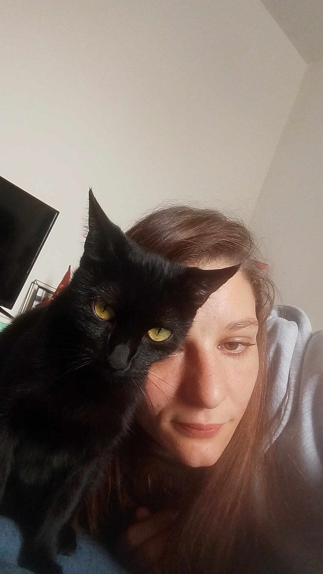 Réglisse participe au concours pour gagner de l'argent avec cette photo : cat, black_cat, animal, pet, woman, face, indoor, portrait, closeup, feline, companion, cozy, relaxed, human, eyebrows, hair, yellow_eyes, casual, soft_light, snuggle