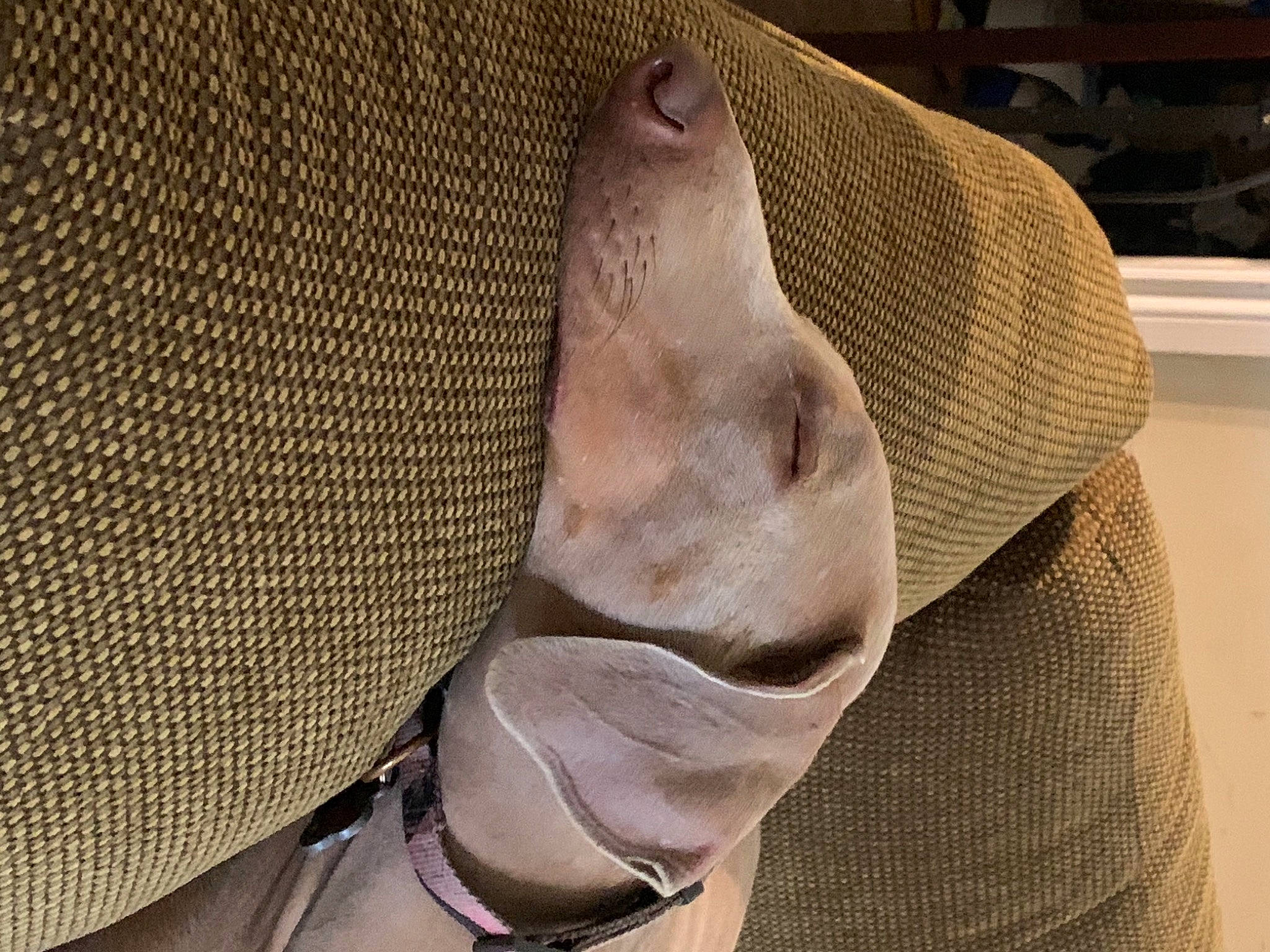 Madi joined the competition — help win amazing prizes! bag, beige, button, collar, comfort, denim, fashion_accessory, foot, grey, headgear, human_leg, knee, leather, linens, pattern, sleeve, waist, wood, wool, woolen