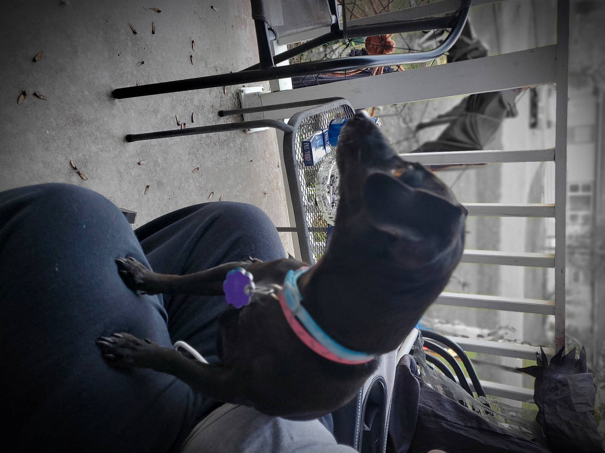 Cleo is registered to the contest to win money with this photo: